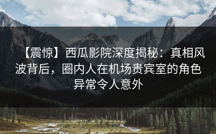 【震惊】西瓜影院深度揭秘：真相风波背后，圈内人在机场贵宾室的角色异常令人意外