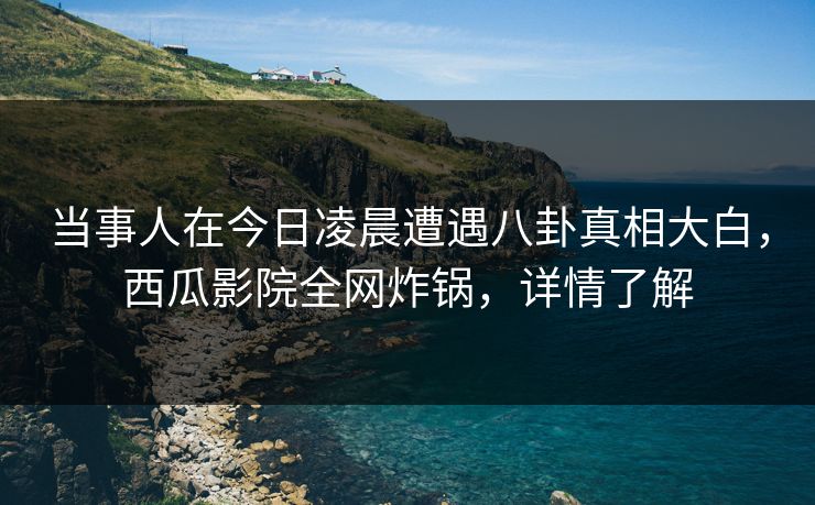 当事人在今日凌晨遭遇八卦真相大白，西瓜影院全网炸锅，详情了解