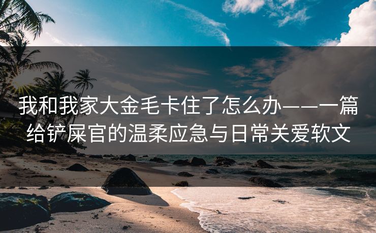 我和我家大金毛卡住了怎么办——一篇给铲屎官的温柔应急与日常关爱软文