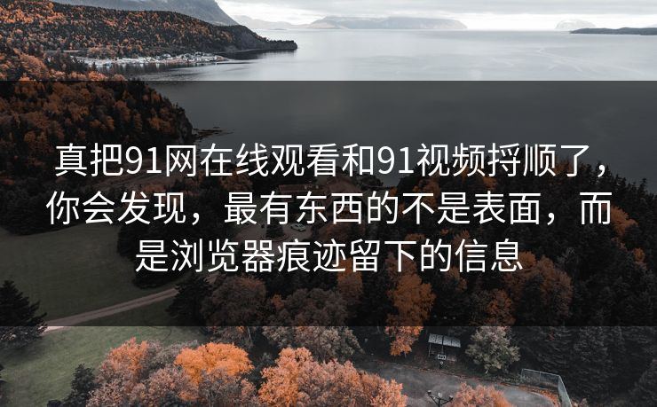 真把91网在线观看和91视频捋顺了,你会发现,最有东西的不是表面,而是浏览器痕迹留下的信息 真把91网在线观看和91视频捋顺了,你会发现,最有东西的不是表面,而是浏览器痕迹留下的信息